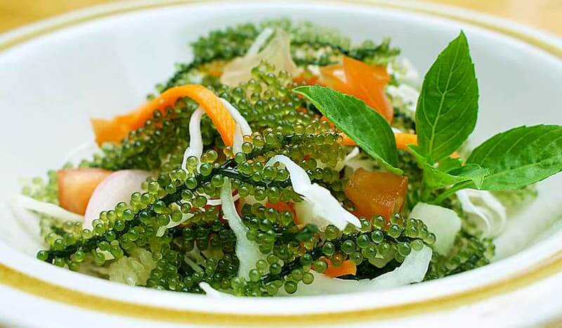 Salade japonaise de concombre et d'algues wakame