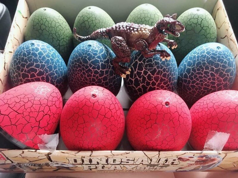 Des œufs de dinosaures pour le jeu