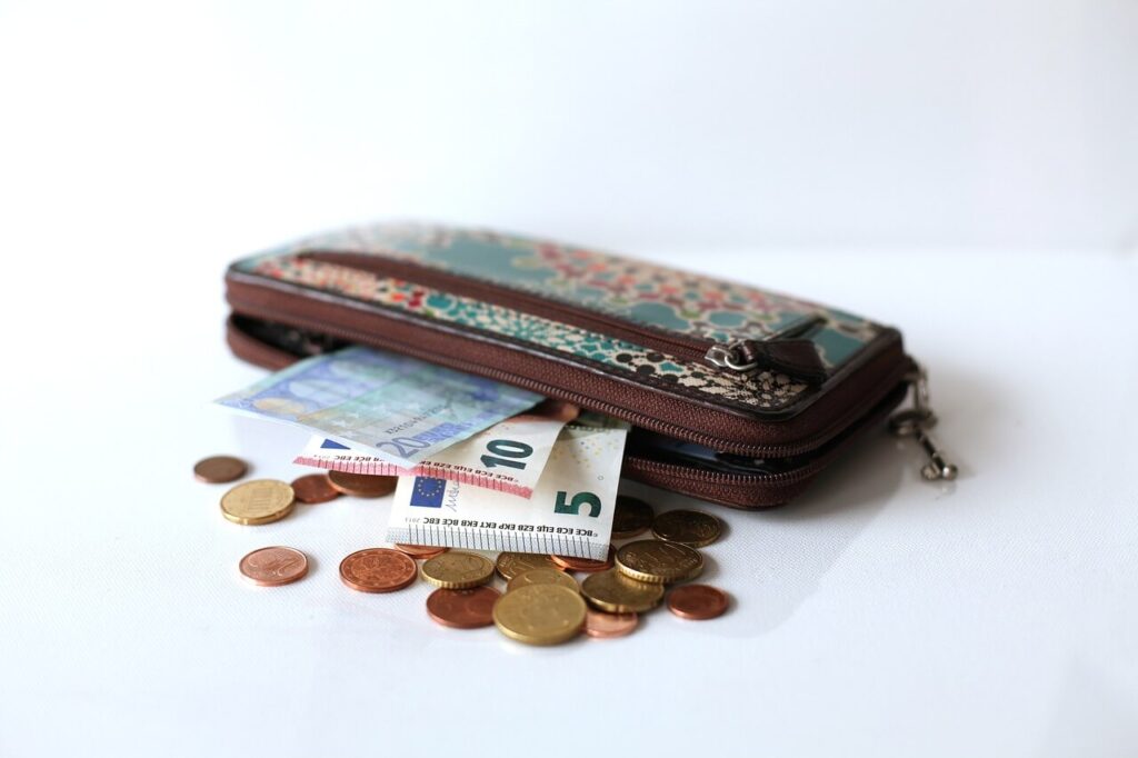 Un porte-monnaie ou un petit portefeuille adorable